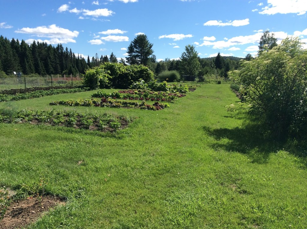 Runaway Creek Farm | 5 Chemin Thomson E, Arundel, QC J0T 1A0, Canada | Phone: (819) 687-3884