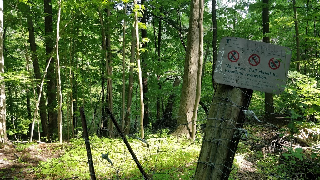 Sherwood park trail | Unnamed Road, Toronto, ON M4P 2B8, Canada