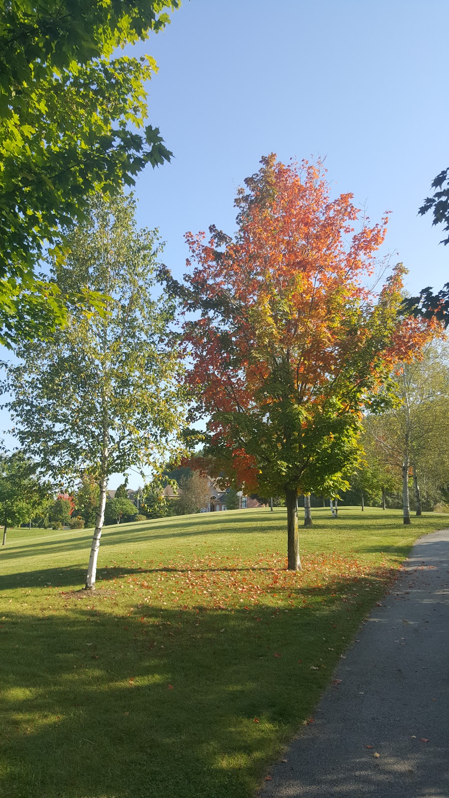 Nevada Park | 101 Nevada Crescent, Maple, ON L6A 2V5, Canada