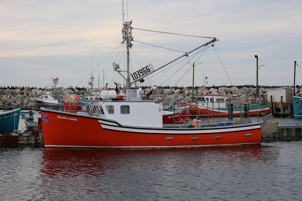 Surf Seafoods (2009) Limited | 16 Commercial St, Port La Tour, NS B0W 2T0, Canada | Phone: (902) 768-2535