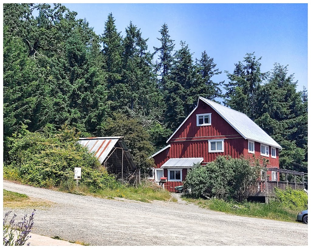 Providence Farm | 1843 Tzouhalem Rd, Duncan, BC V9L 5L6, Canada | Phone: (250) 746-4204