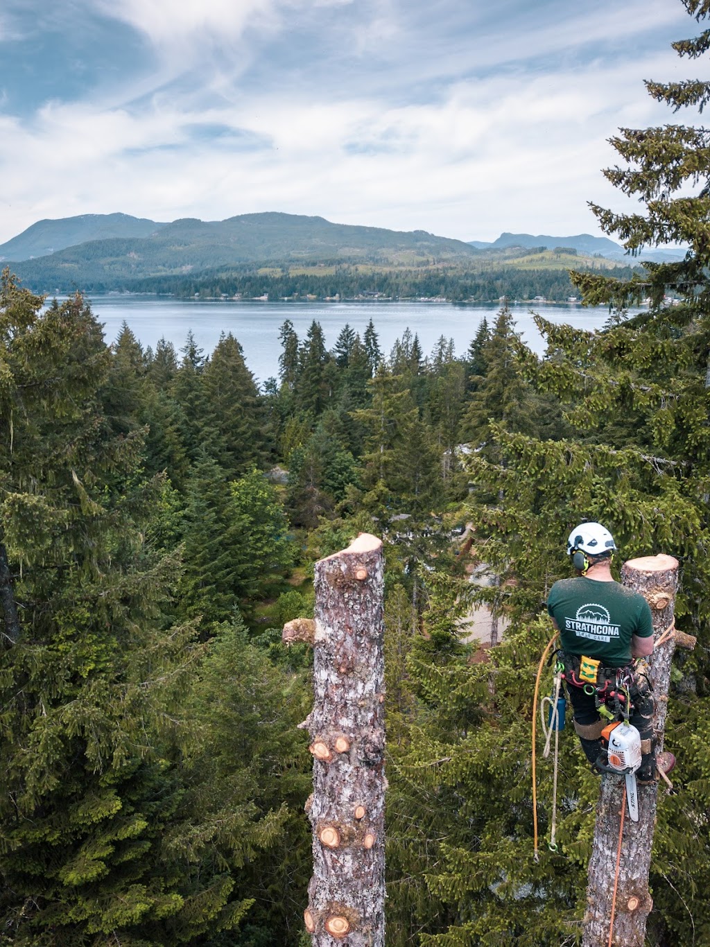 Strathcona Tree Care | 141 Marich Ln, Courtenay, BC V9N 9V2, Canada | Phone: (236) 471-6510