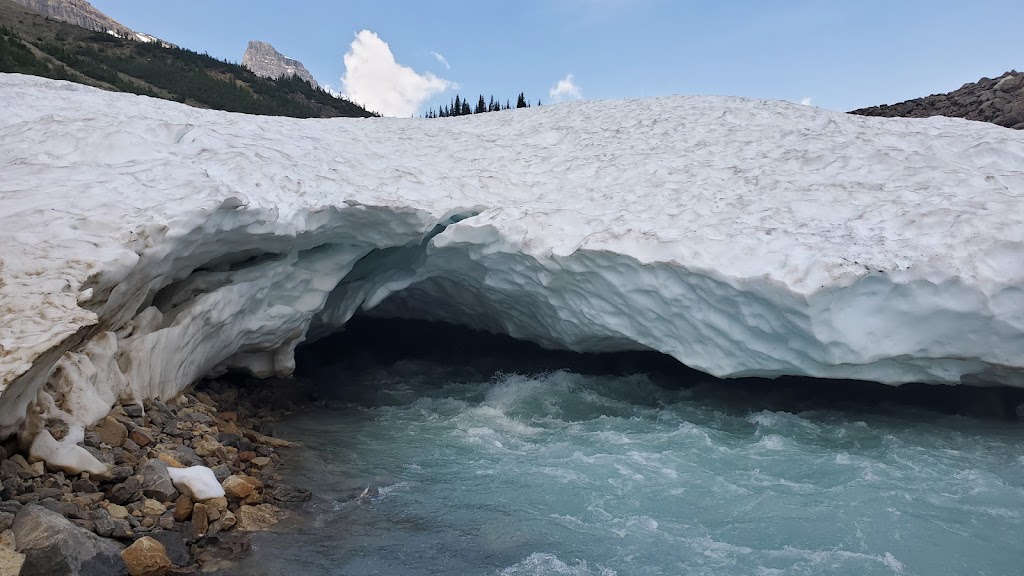 Twin Falls Chalet | Yoho Valley Rd, Field, BC V0A 1G0, Canada | Phone: (403) 228-7079