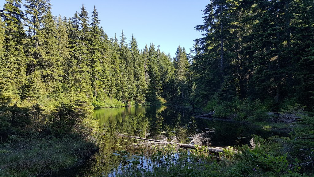 Blue Gentian Lake | West Vancouver, BC V0N 1G0, Canada