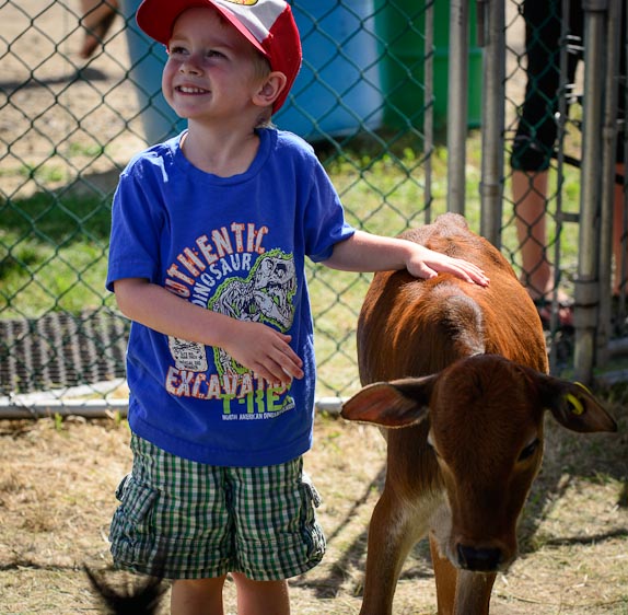 Thistle Hill Farm Petting Zoo & Pony Rides | 22137 AB-21, Hay Lakes, AB T0B 1W0, Canada | Phone: (780) 878-3344