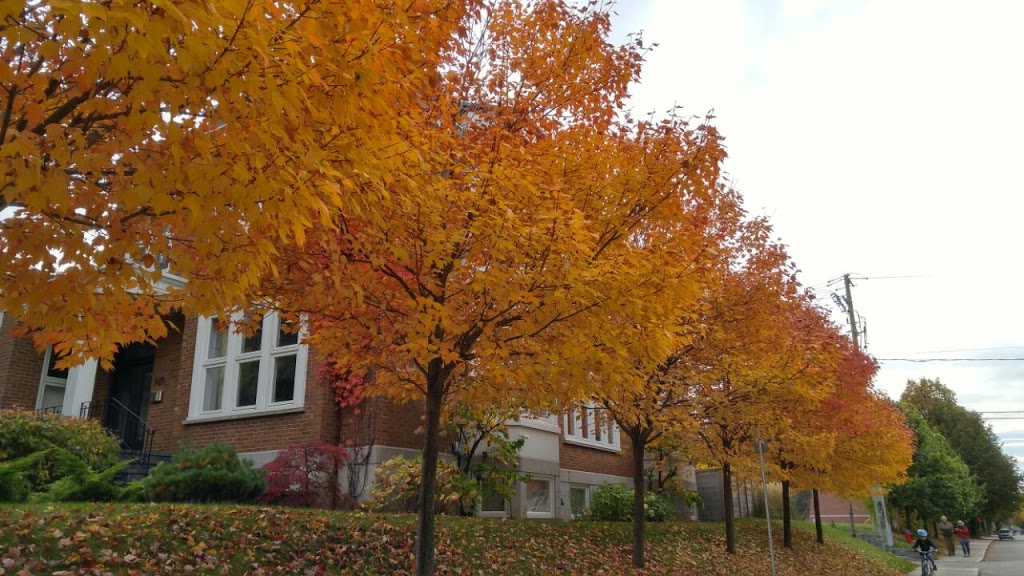 Parc Marquette | Avenue de Bienville, Québec, QC G1S 3C7, Canada