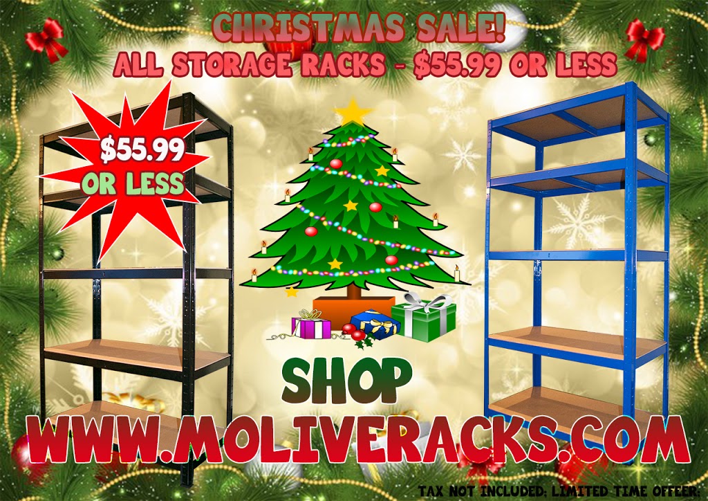 Molive Storage Solutions Ltd. | 5580 239 St, Langley City, BC V2Z 2P1, Canada | Phone: (604) 510-0155