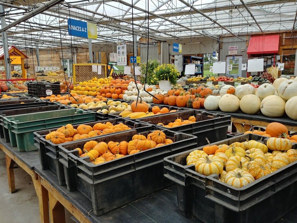 Bédard & Blouin Inc Farm | 2157 Boulevard Louis-XIV, Québec, QC G1C 1A1, Canada | Phone: (418) 666-5518