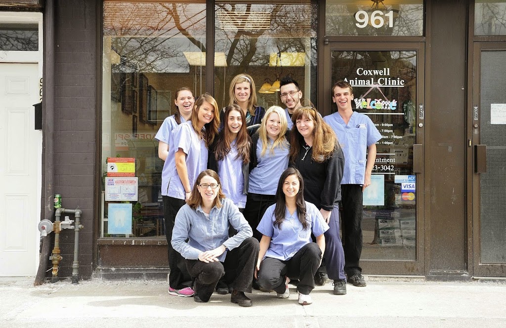 Coxwell Animal Clinic | 961 Coxwell Ave, East York, ON M4C 3G4, Canada | Phone: (416) 423-3042