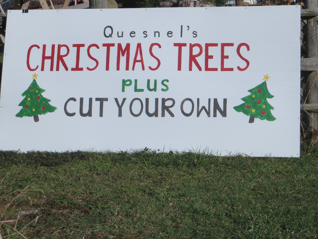 Quesnel Christmas Trees | Collingwood, ON L9Y 3Z1, Canada | Phone: (705) 445-2375