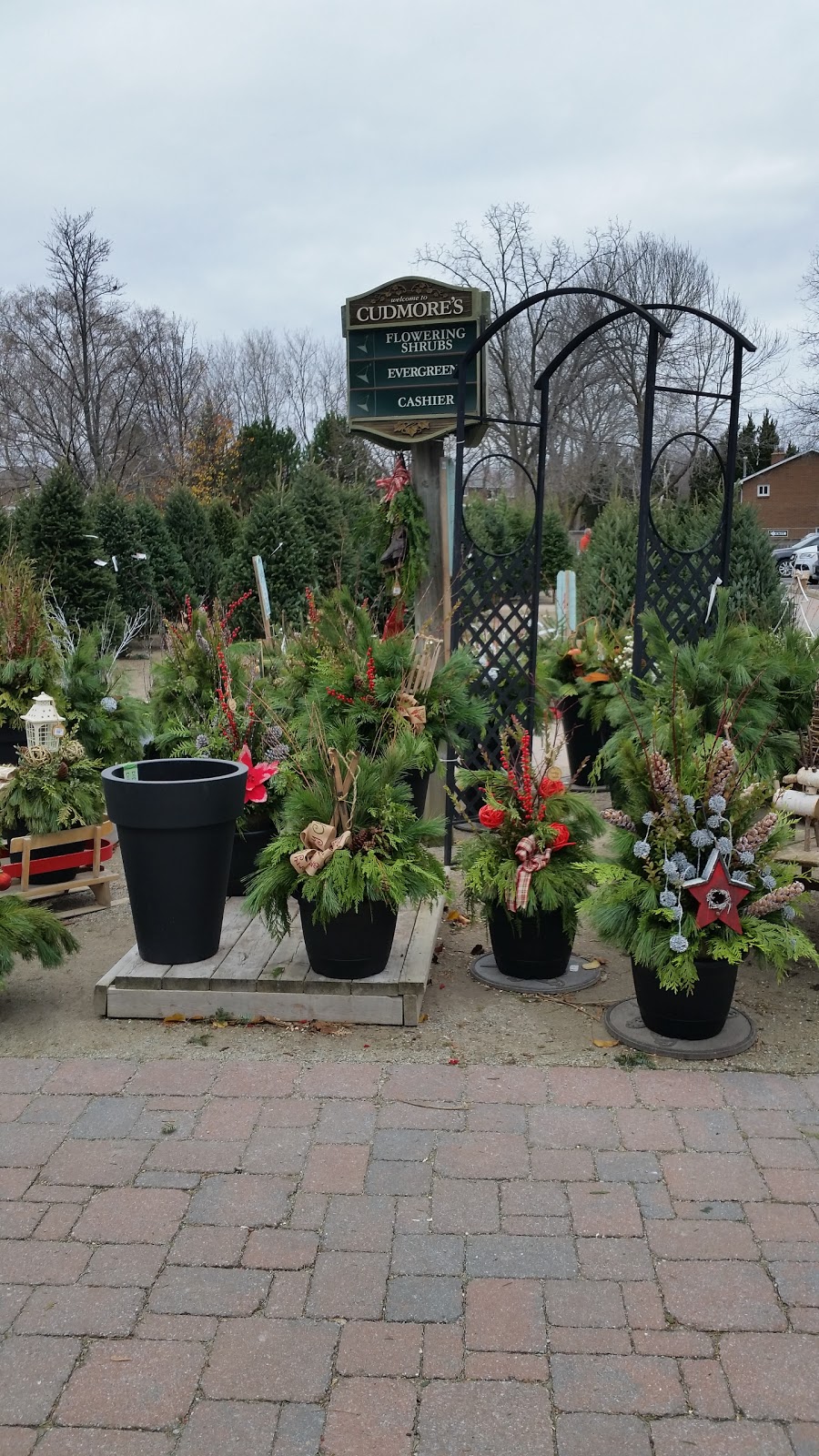 Cudmores Garden Centre Inc | 3171 Lakeshore Rd W, Oakville, ON L6L 1J7, Canada | Phone: (905) 827-1872