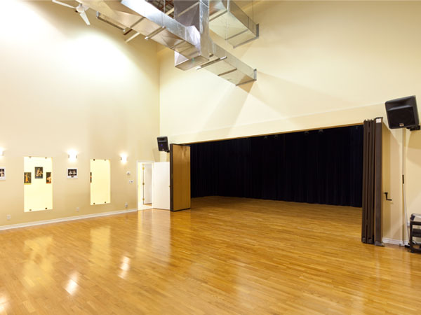 Sampradaya Dance Academy | 3250 Ridgeway Dr, Mississauga, ON L5L 5Y6, Canada | Phone: (905) 607-8454