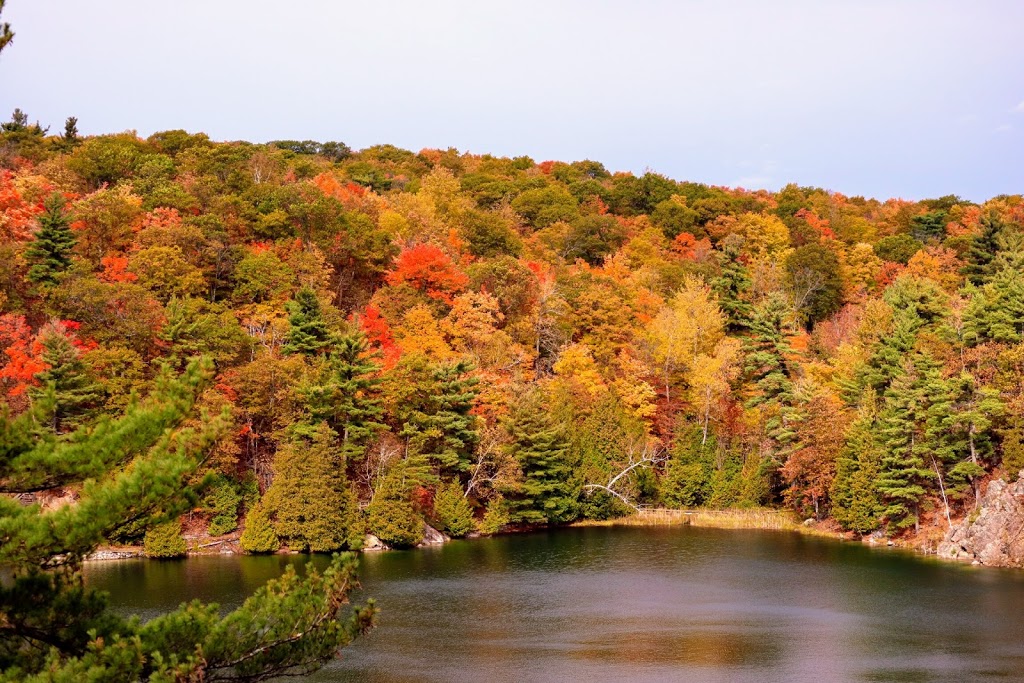 King Mountain Trail | Promenade Champlain, Chelsea, QC J9B 1A3, Canada