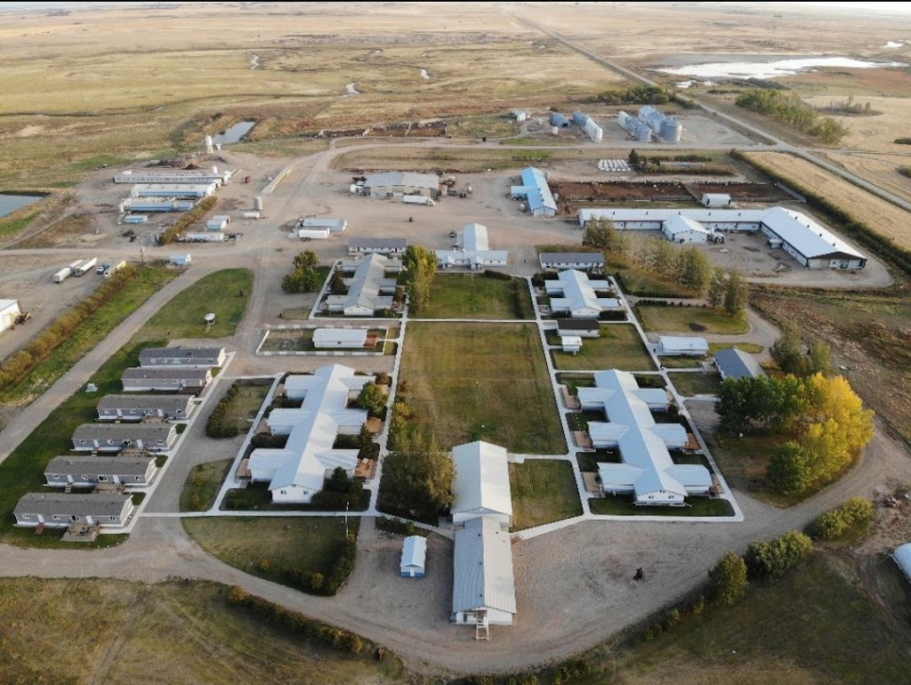 Willow Park Colony | Farm, Tessier, SK S0K 3C0, Canada | Phone: (306) 237-9510