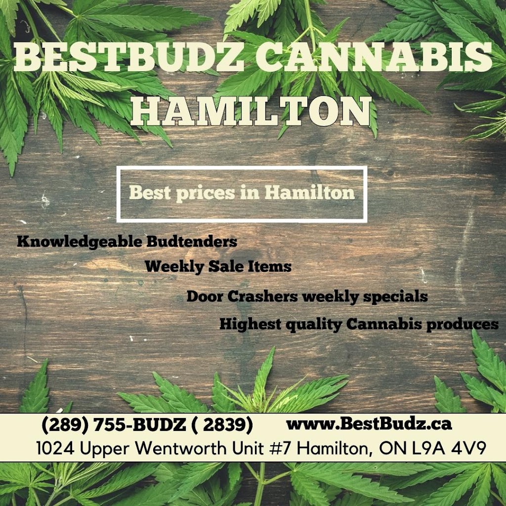 BestBudz Cannabis Store | 1024 Upper Wentworth St Unit #7, Hamilton, ON L9A 4V9, Canada | Phone: (289) 755-2839