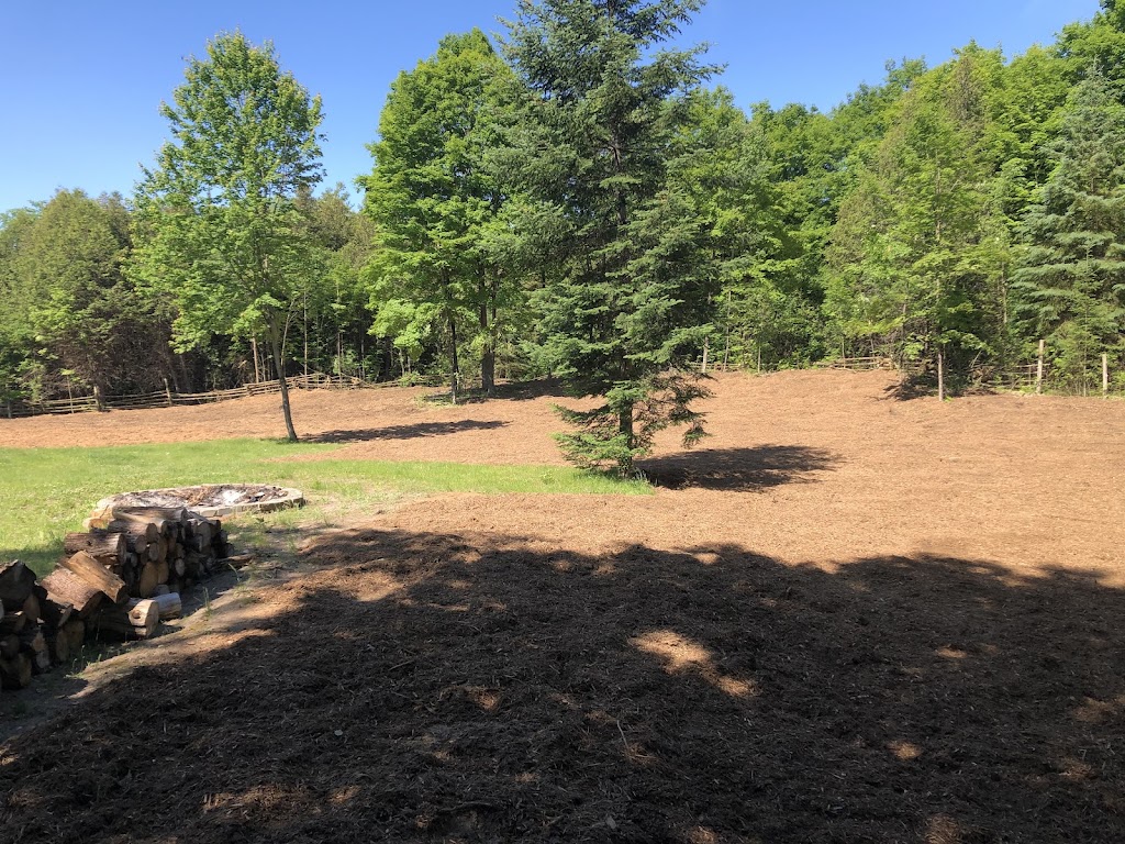 Pollock Land Clearing | 247 Blue Heron Rd, Carleton Place, ON K7C 0C5, Canada | Phone: (613) 206-1212