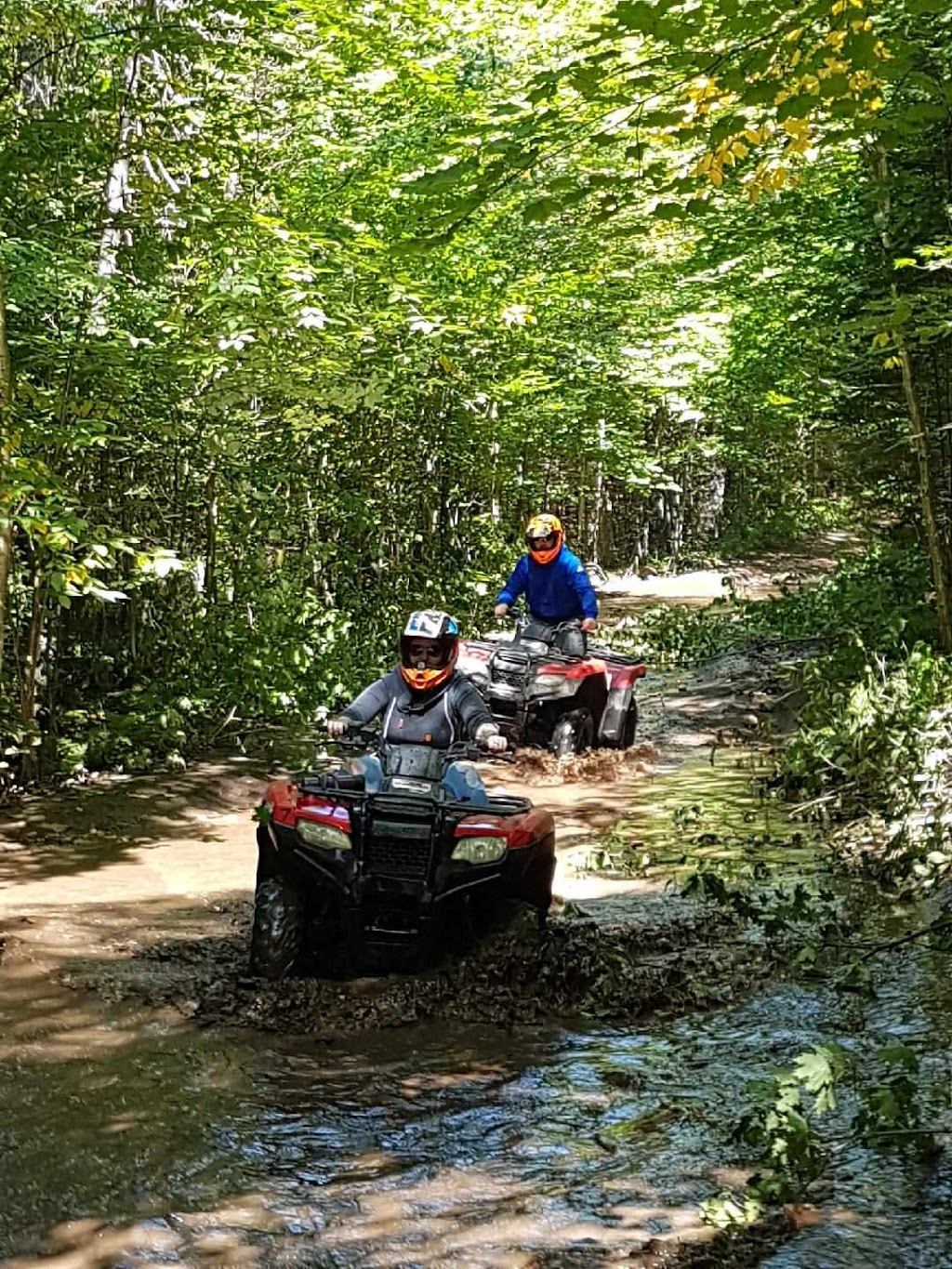 Back Country Tours Inc. | 48 Highland St, Haliburton, ON K0M 1S0, Canada