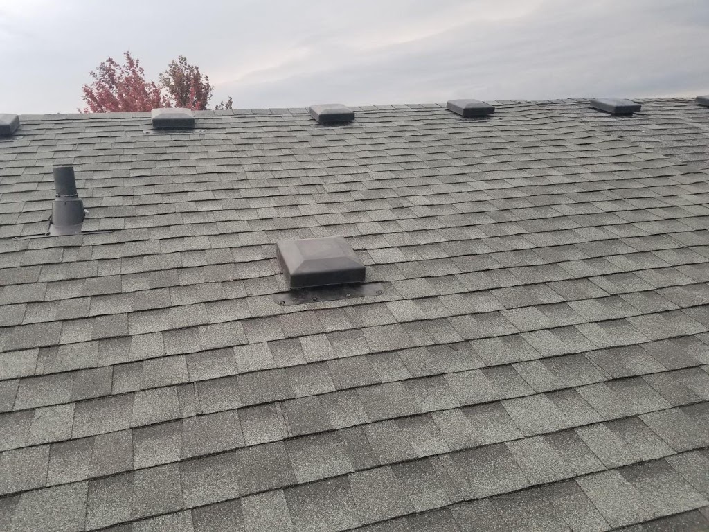 Canada Standard Roofing | 68 Gilroy Dr, Scarborough, ON M1P 2A1, Canada | Phone: (647) 572-4212