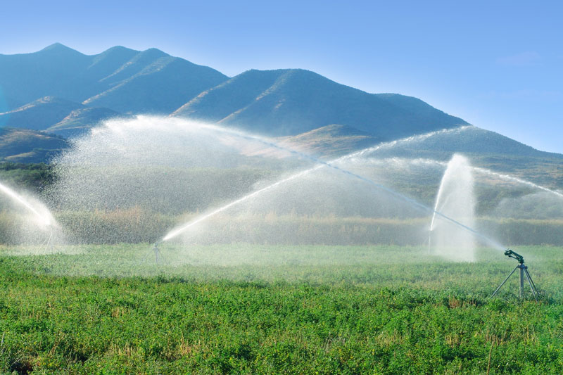 Vanden Bussche Irrigation | 2515 Pine Grove Rd, Delhi, ON N4B 2X1, Canada | Phone: (519) 582-2380