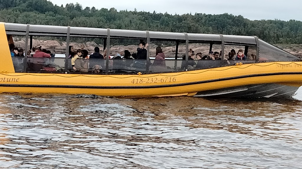 Croisières Baleines Neptune Bergeronnes | 507 Rue du Boisé, Grandes-Bergeronnes, QC G0T 1G0, Canada | Phone: (418) 232-6716