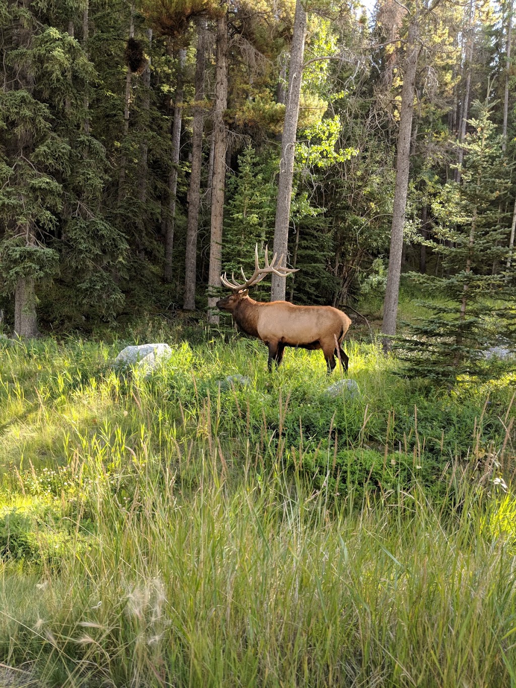 Stewart Creek Golf & Country Club | 4100 Stewart Creek Dr, Canmore, AB T1W 2V3, Canada | Phone: (877) 993-4653