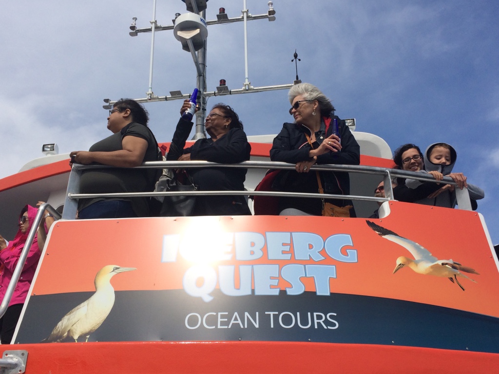 Iceberg Quest Ocean Tours | 135 Harbour Drive Pier 6, St. Johns, NL A1C 6N6, Canada | Phone: (709) 722-1888