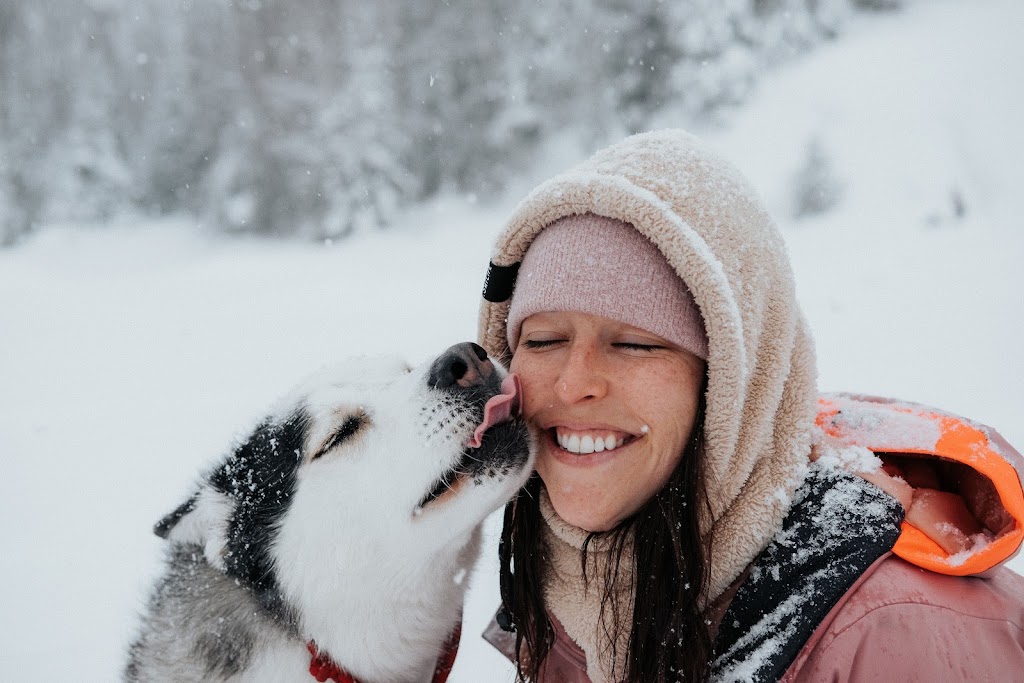 So Complice, intervenante en comportement canin | 7 Chem. du Sous Bois, Lac-Beauport, QC G3B 1T5, Canada | Phone: (418) 951-8681