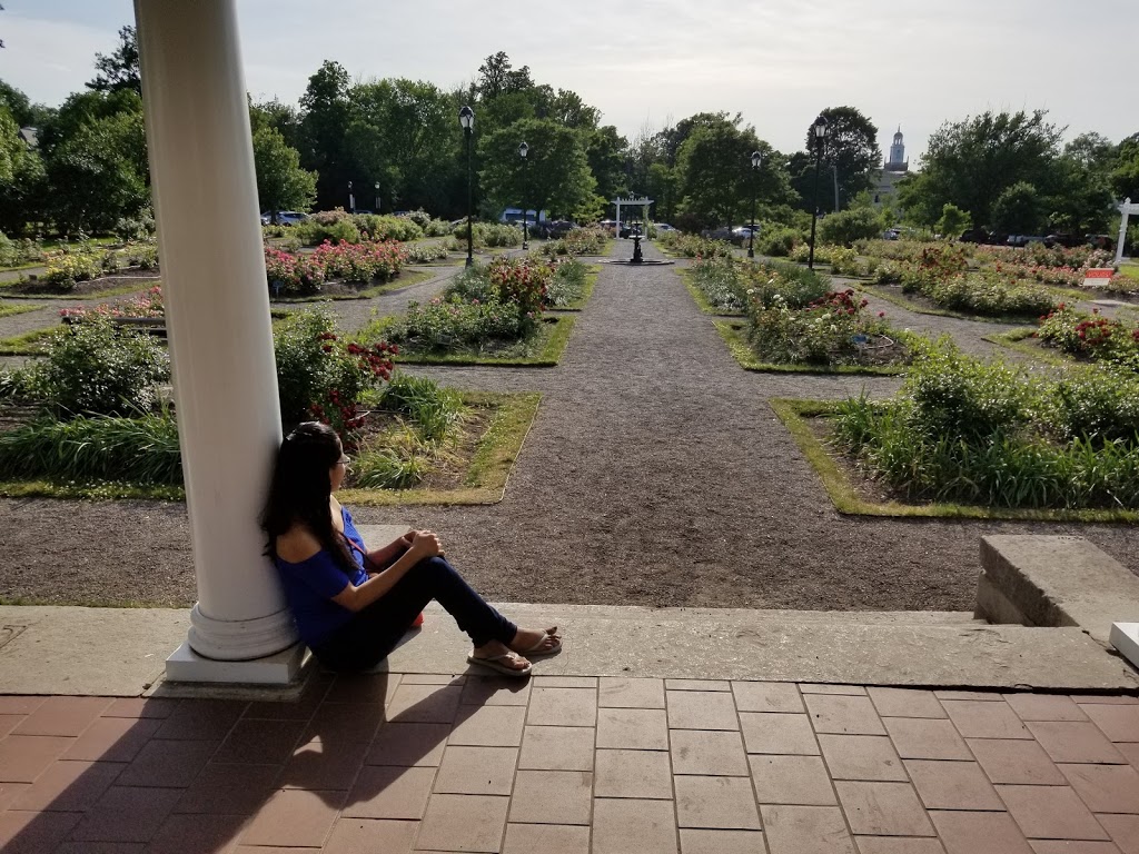 Delaware Park Rose Garden | 199 Lincoln Pkwy, Buffalo, NY 14222, USA | Phone: (716) 886-0088