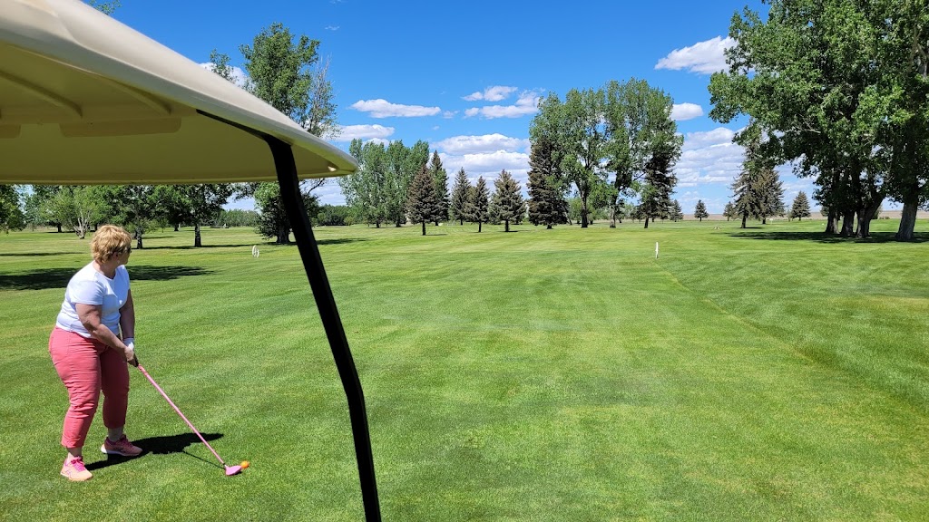 Bassano Golf Course | 102 8 Avenue Close, Bassano, AB T0J 0B0, Canada | Phone: (403) 641-4016