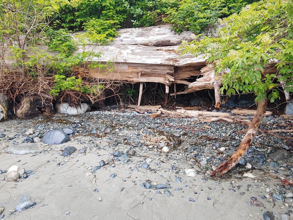 Second Beach | Juan de Fuca, BC V0S, Canada