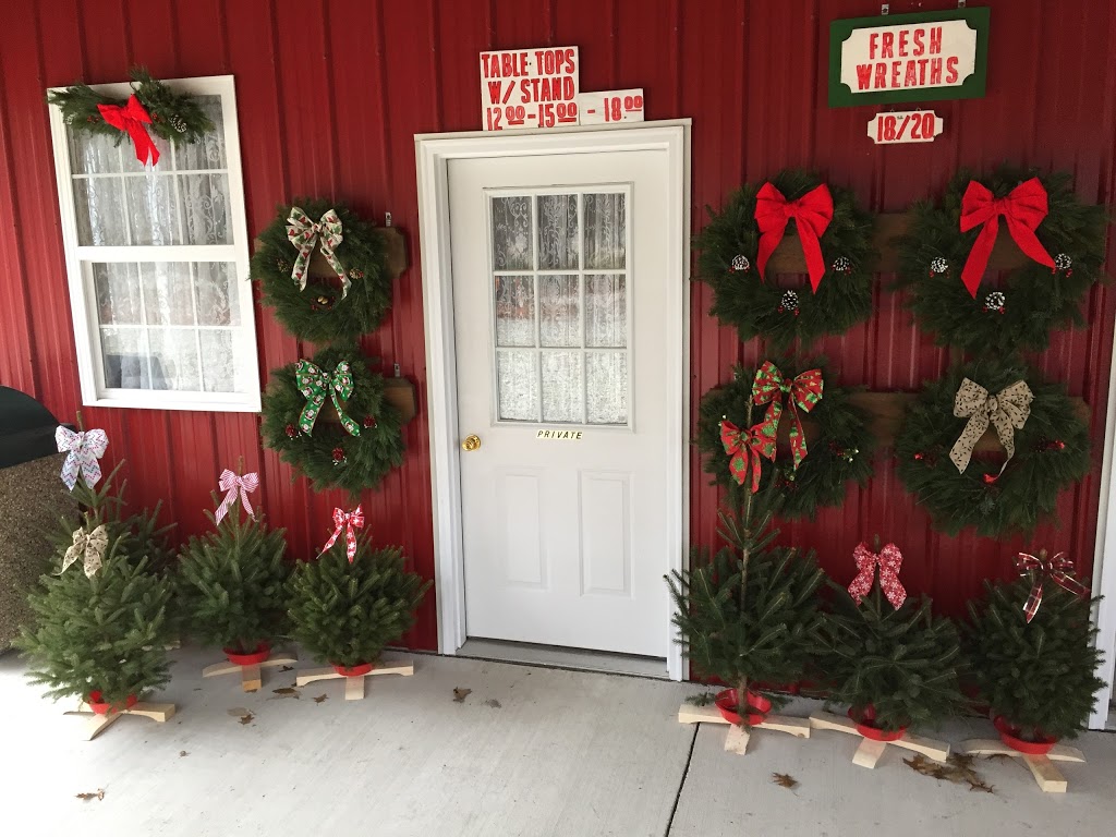 Shea Christmas Tree Farm | 6214 Shea Rd, Marine City, MI 48039, USA | Phone: (810) 765-5882