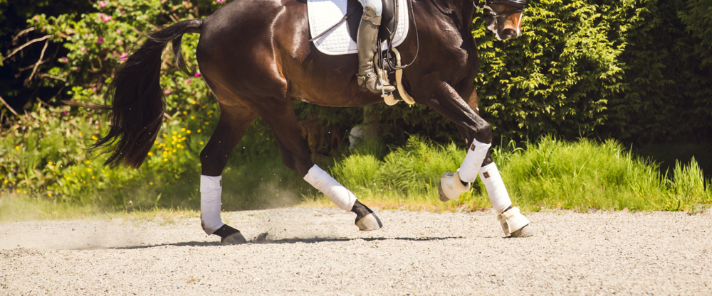 ReitenRight Equestrian Footing | 674 Derwent Way, Delta, BC V3M 5P8, Canada | Phone: (877) 275-1598