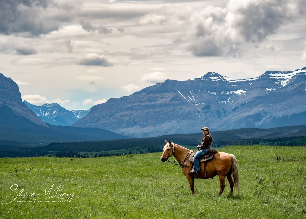 Mountain Horse Photography | 2347 Township Rd 370, AB, T4G 0M9, Canada | Phone: (403) 392-4452