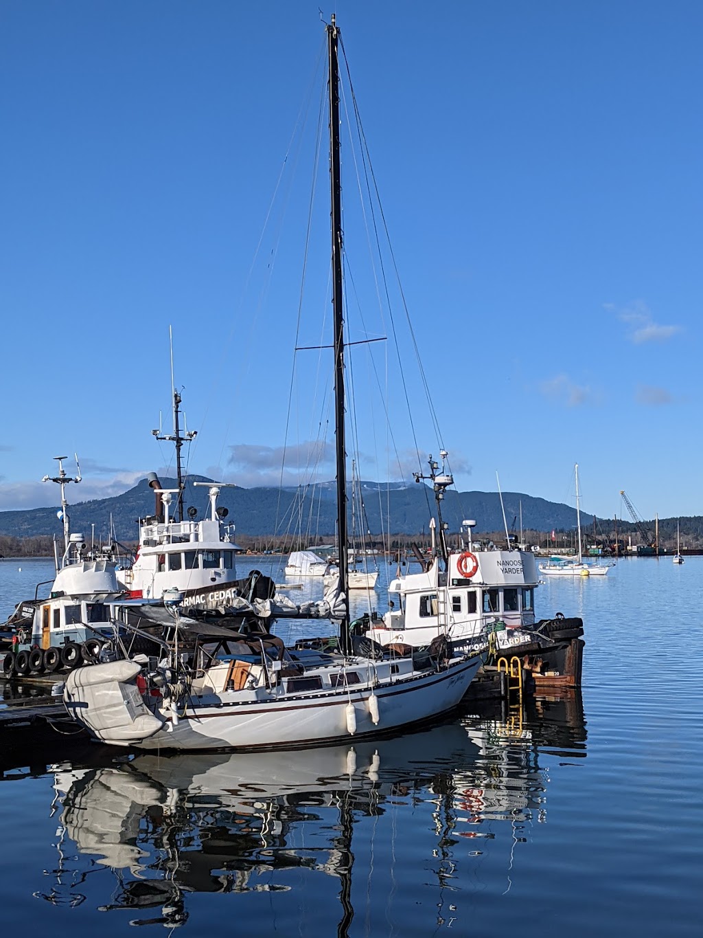 Cowichan Bay Fishermens Wharf Assn | 1699 Cowichan Bay Rd, Cowichan Bay, BC V0R 1N0, Canada | Phone: (250) 746-5911