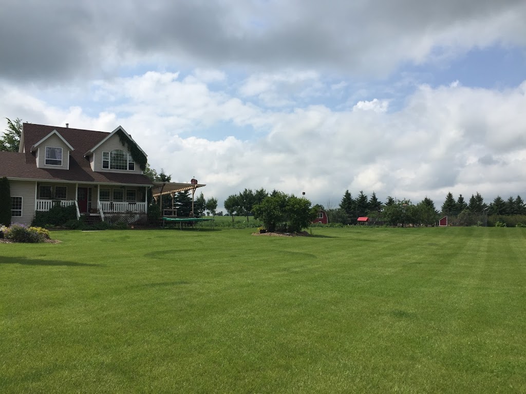 Red Barn Berries Central Alberta U-Pick | Township Rd 392, Alberta T4E 1C8, Canada | Phone: (403) 304-0440