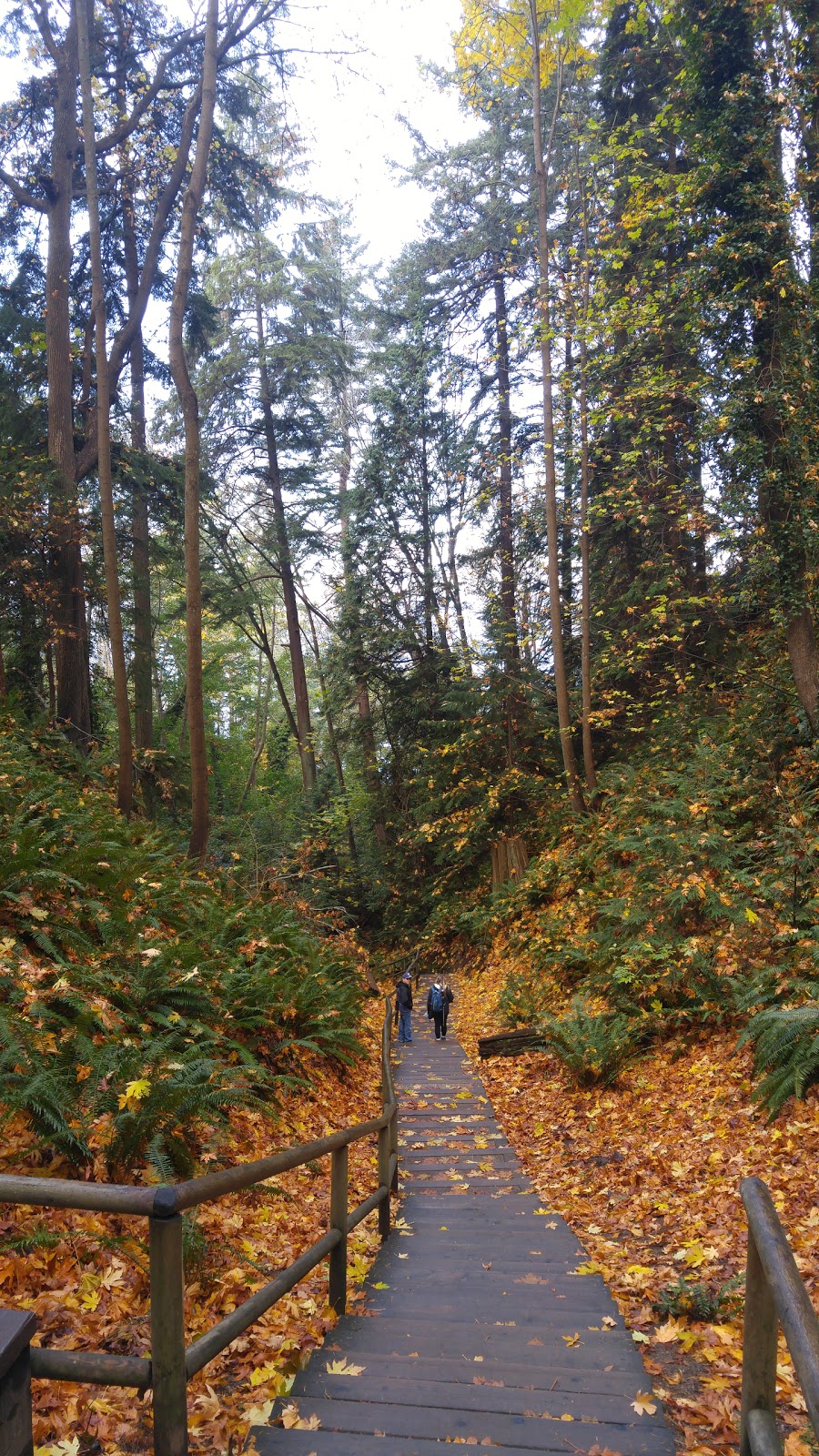 Tower Beach Trail | Trail 3, Vancouver, BC V6T 1X8, Canada