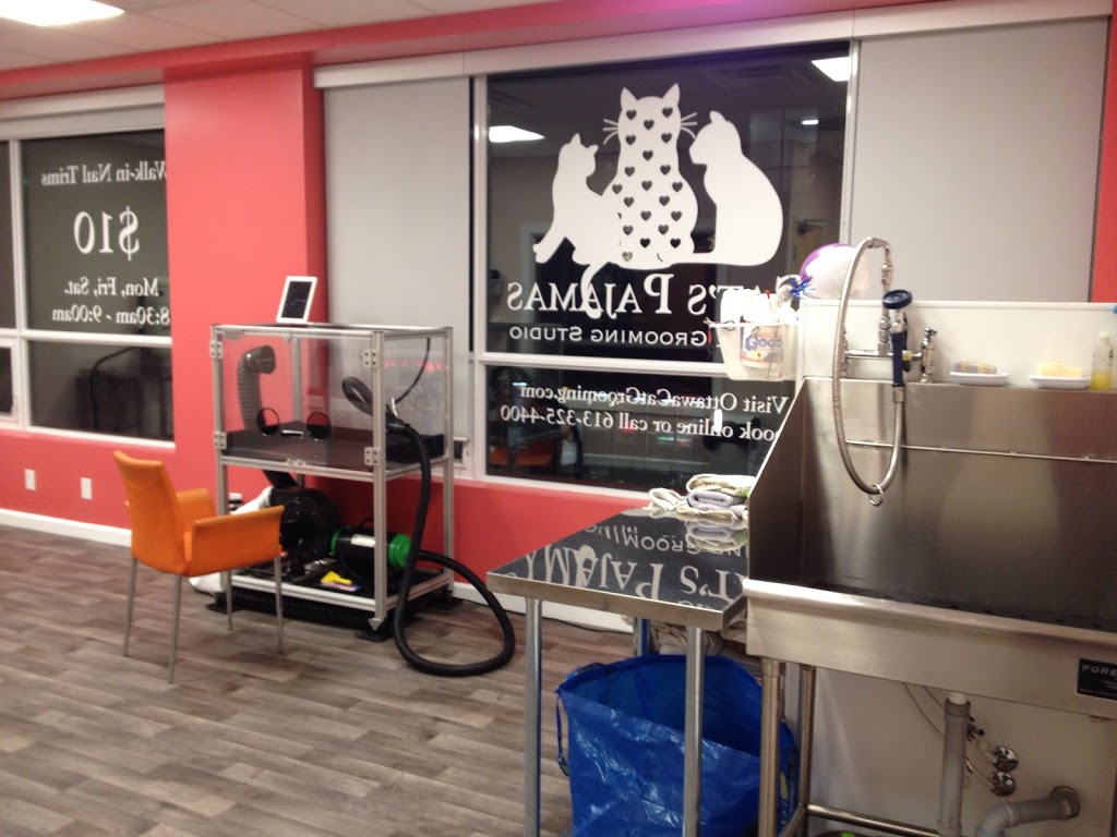 Cats Pajamas Feline Grooming Studio | 200 Kennevale Dr #202, Nepean, ON K2J 6B6, Canada | Phone: (613) 898-9228