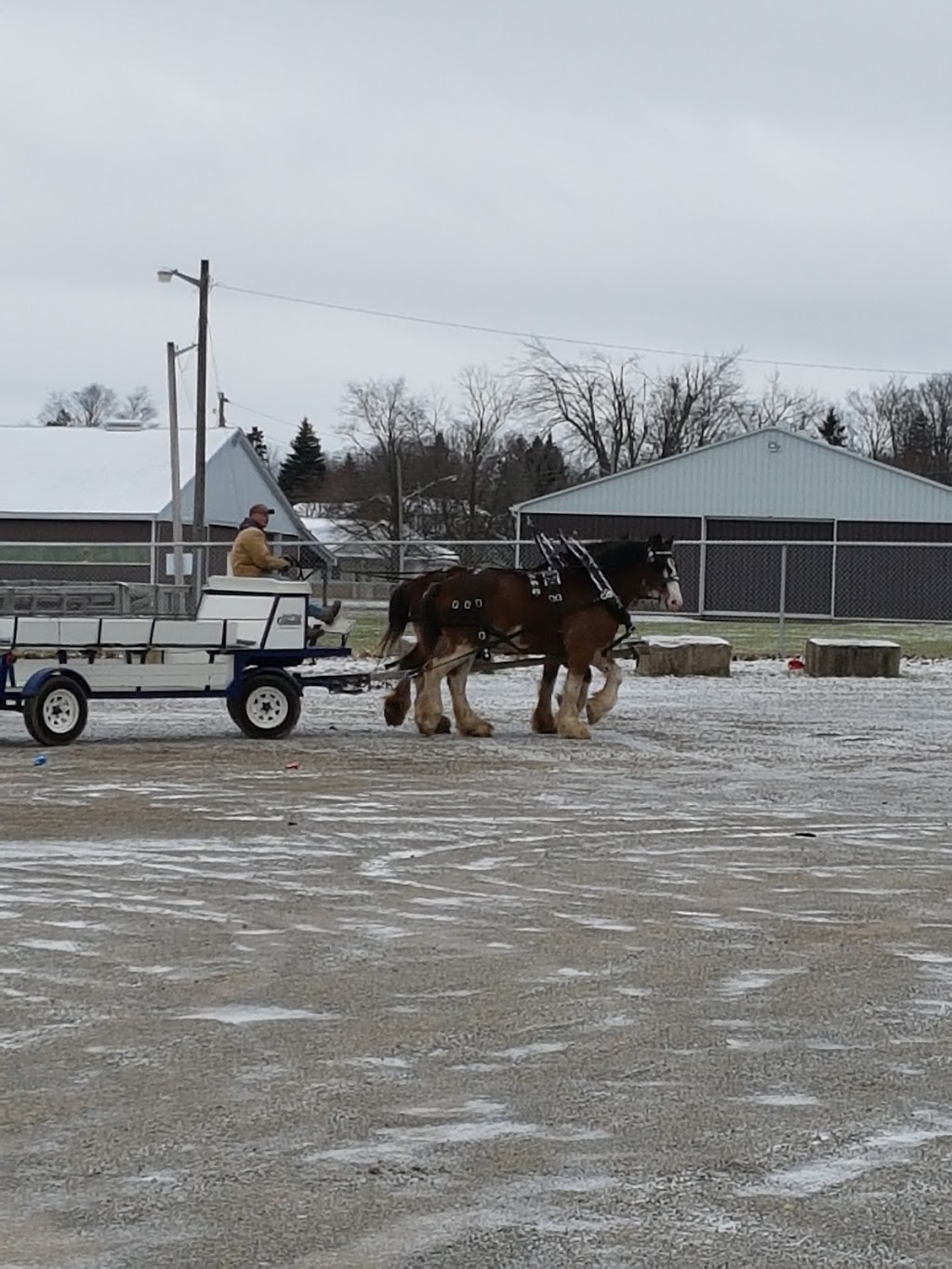 Centre Dufferin Recreation Complex | 200 Fiddle Park Lane, Shelburne, ON L0N 1S0, Canada | Phone: (519) 925-2400