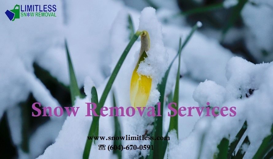 Limitless Snow Removal Company | 2966 Pheasant St Unit #2, Coquitlam, BC V3B 1A1, Canada | Phone: (604) 670-0591