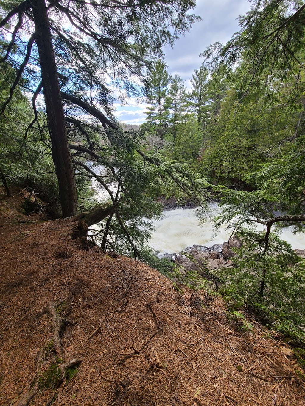 Oxtongue River - Ragged Falls Provincial Park | 1050 Oxtongue Lake Rd, Dwight, ON P0A 1H0, Canada | Phone: (705) 789-5105