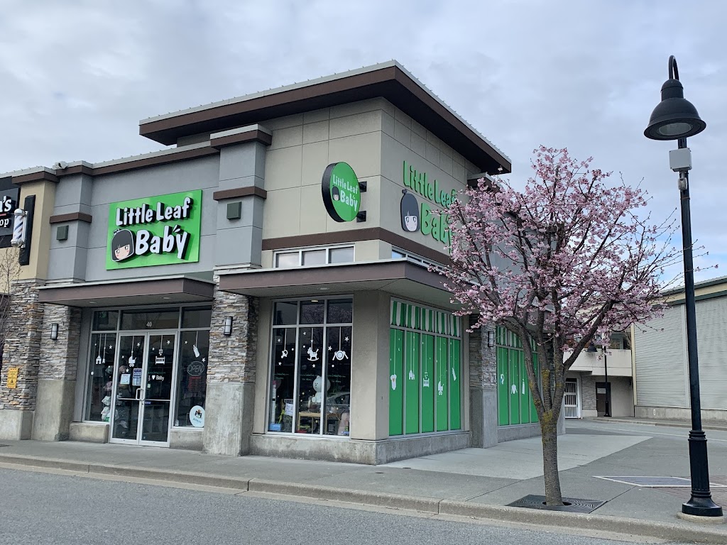 Little Leaf Baby | 2438 160 St #40, Surrey, BC V3S 0C8, Canada | Phone: (604) 535-9240