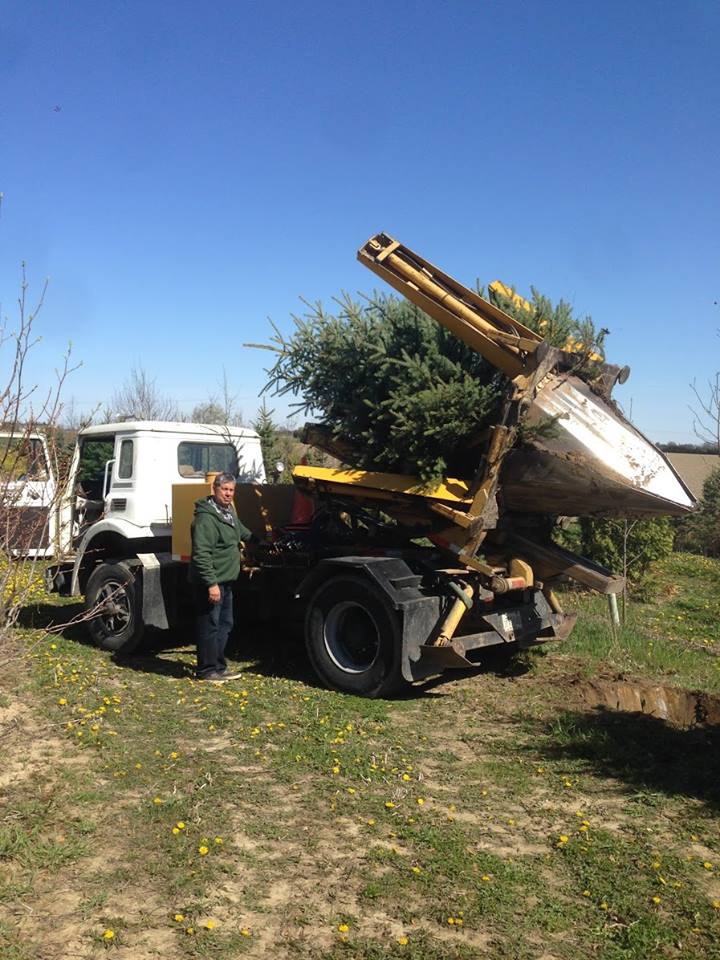 CM Wilson Tree Moving Service | 22222 Creek Rd, Chatham, ON N7M 5J3, Canada | Phone: (519) 354-2734