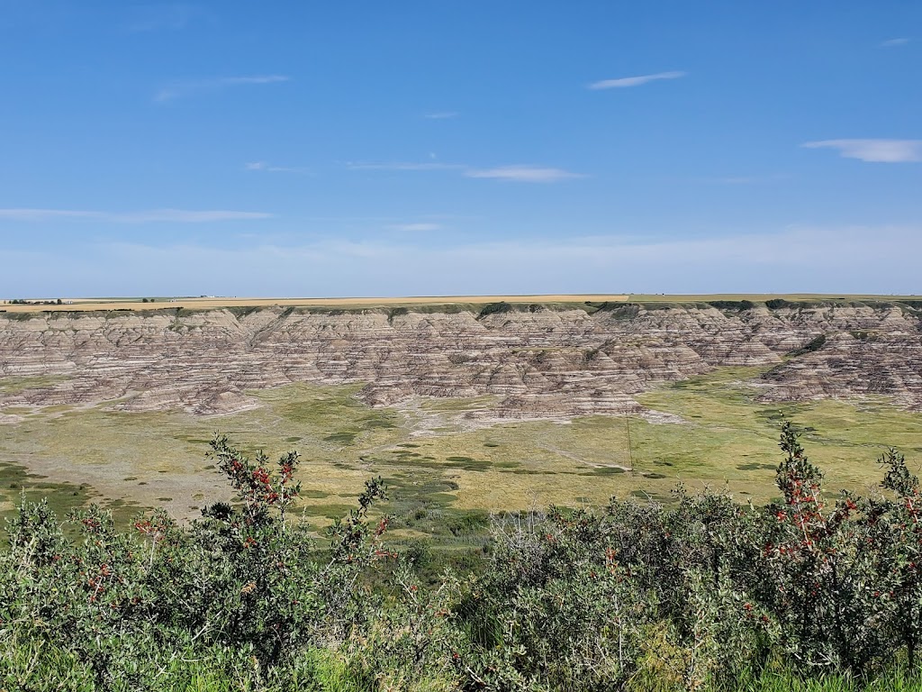 Orkney Viewpoint | Kneehill County, AB T0M 0L0, Canada | Phone: (403) 443-5541