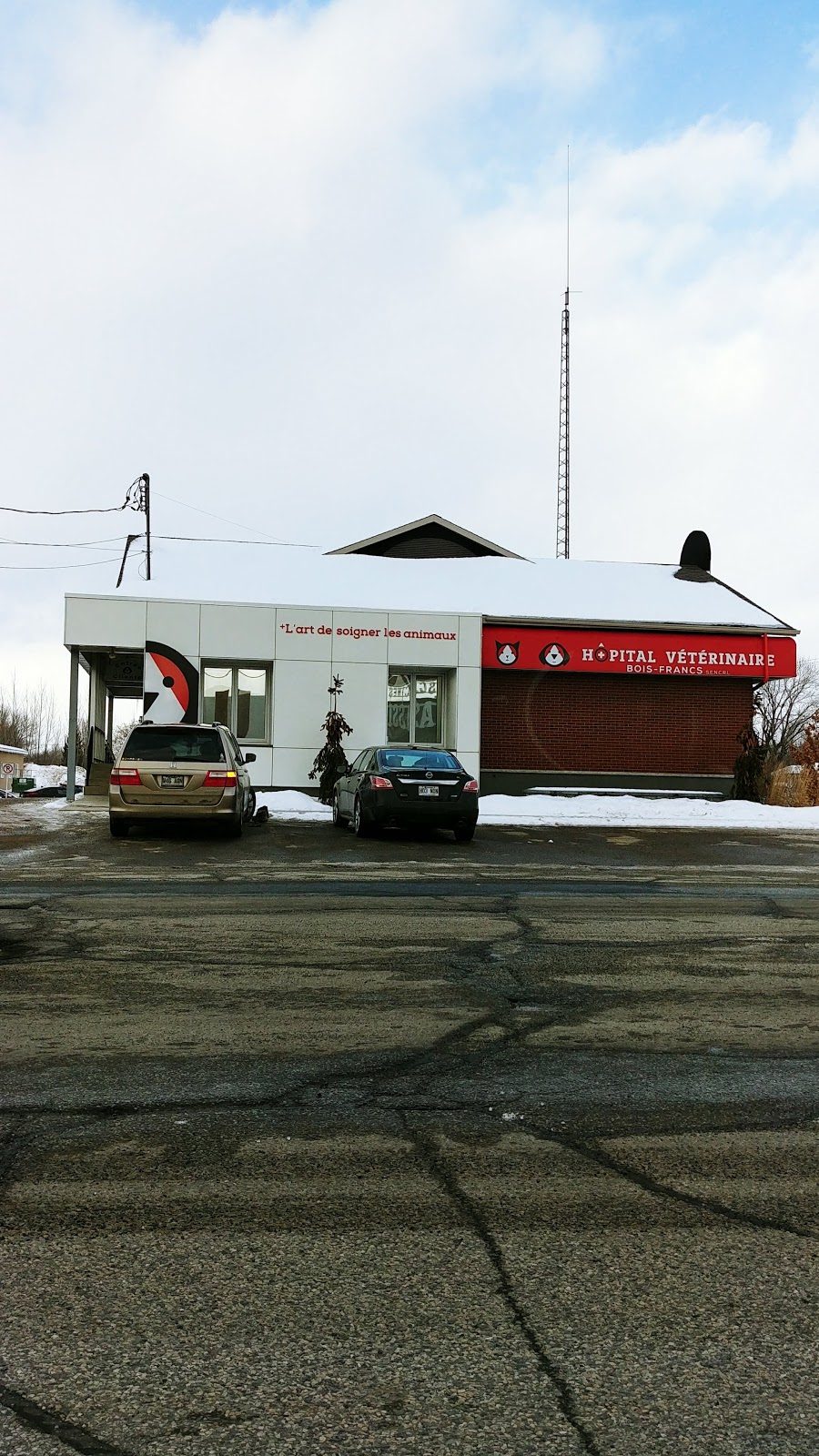 Veterinary Hospital Bois-Francs | 50 Rue Girouard, Victoriaville, QC G6P 5S8, Canada | Phone: (819) 357-8281