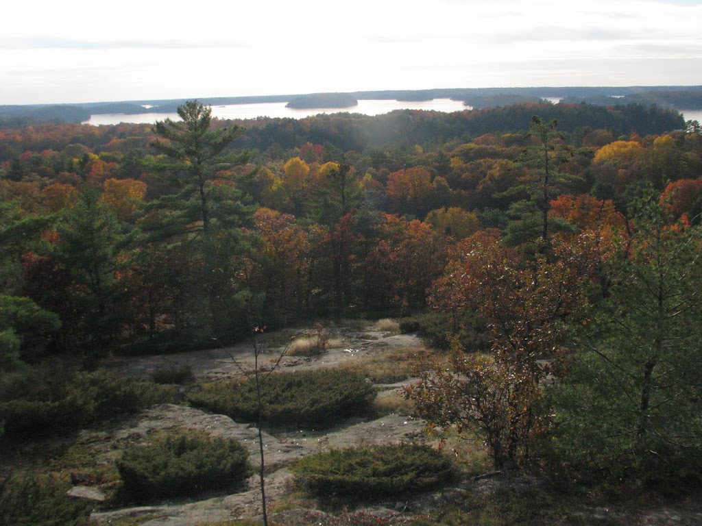 Beachside Cottages on Lake Muskoka | 1130 Milford Bay Rd, Milford Bay, ON P0B 1E0, Canada | Phone: (705) 645-0701