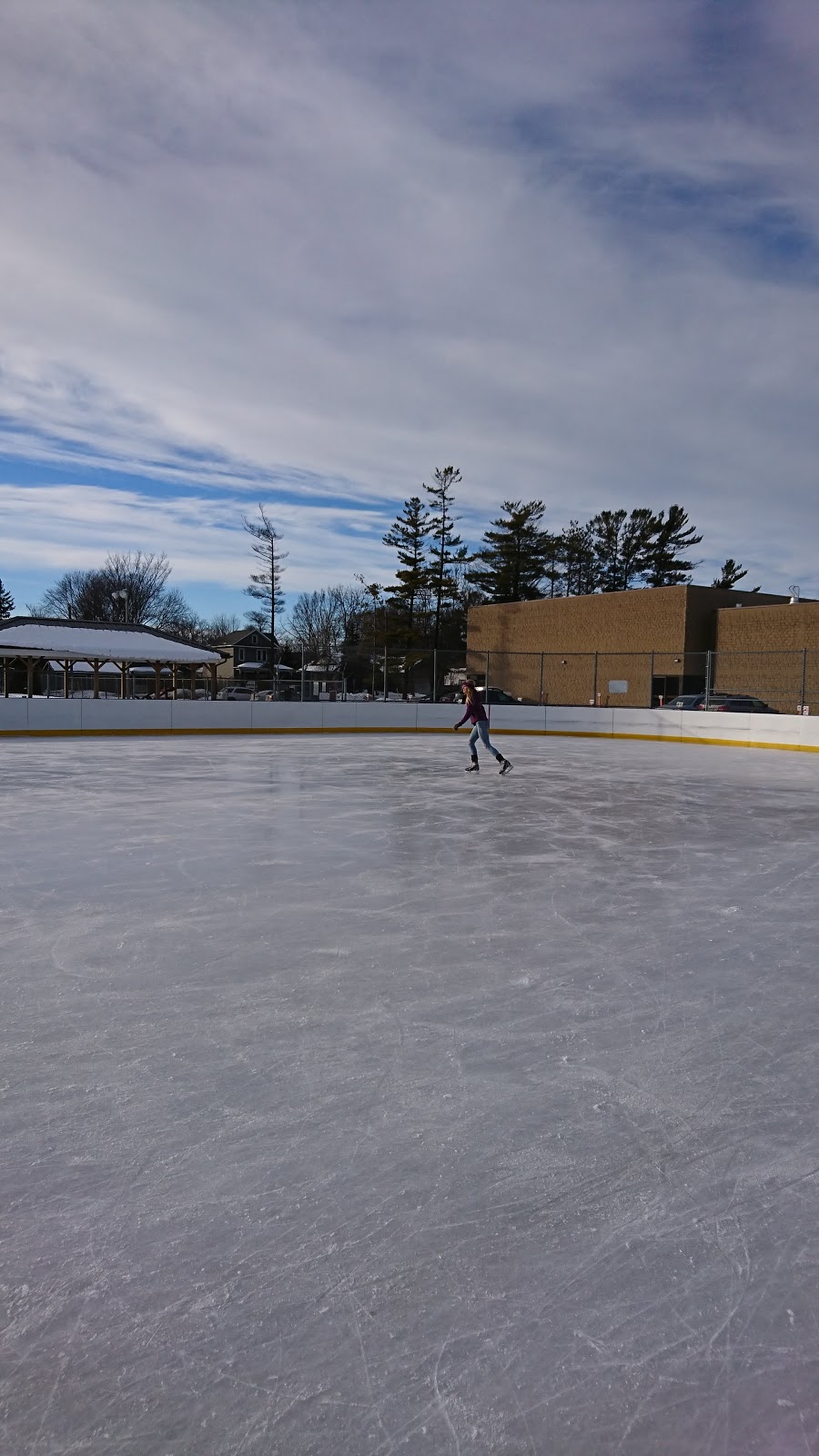 Collingwood Outdoor Rink | 200 Hume St, Collingwood, ON L9Y 1A1, Canada | Phone: (705) 444-2500 ext. 3382