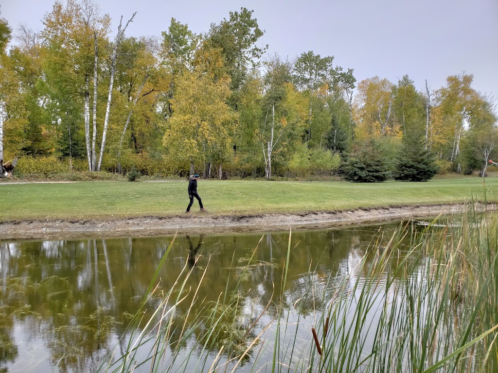 Lake of the Sandhills Golf Course | 30 Golf Course Rd, Buffalo Point, MB R0A 2W0, Canada | Phone: (204) 437-2777