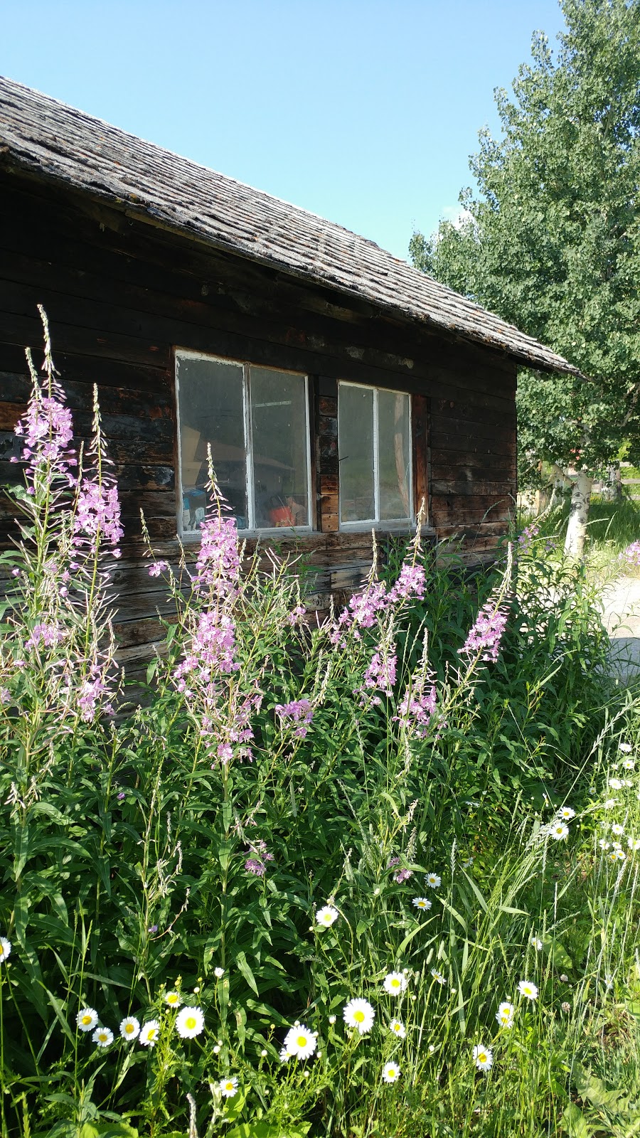 Holley Lane Bed & Breakfast | Holley Rd, Sparwood, BC V0B 2G3, Canada | Phone: (250) 425-2636