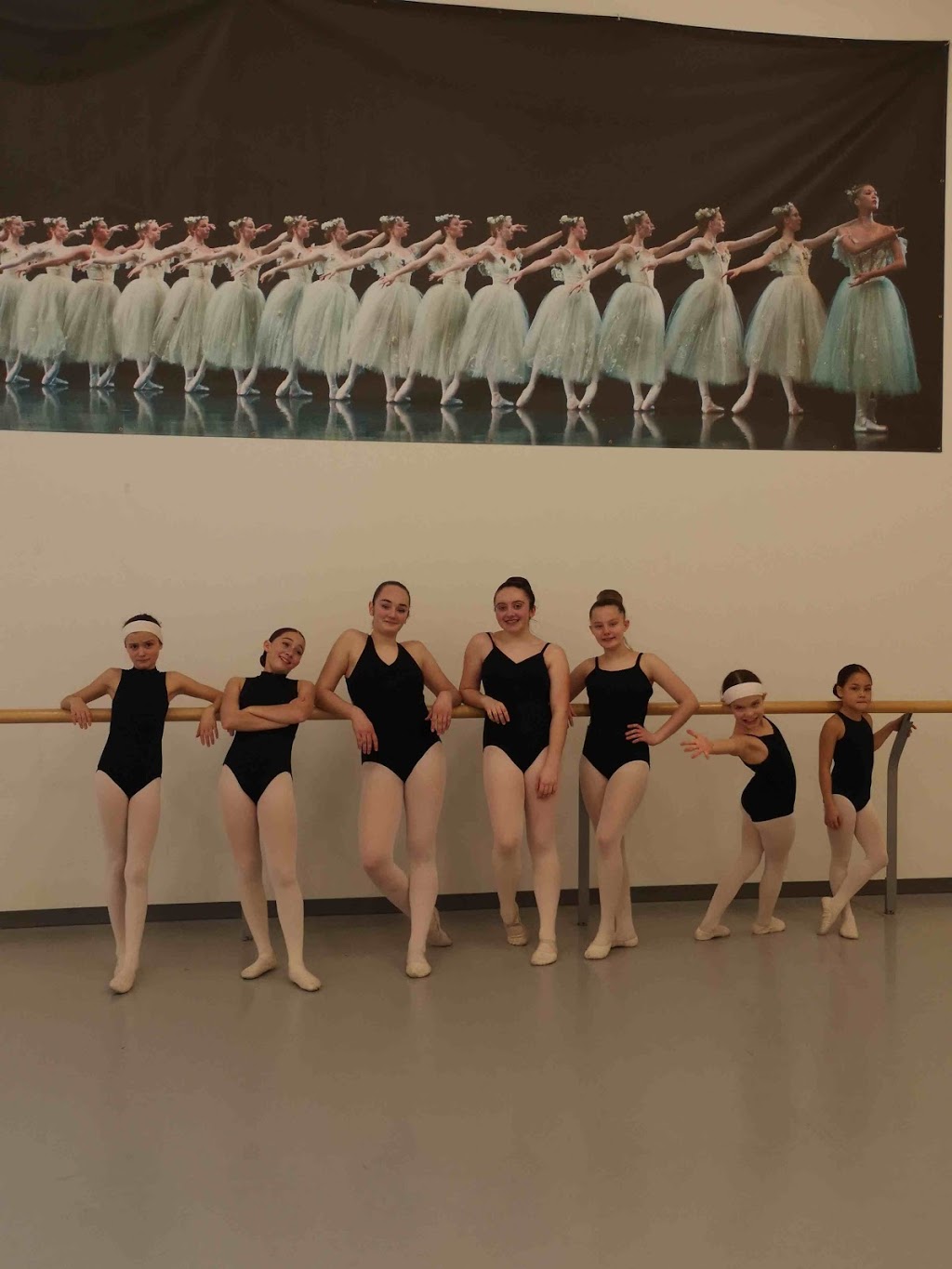 Ana-Marias Dance Academy | 309 Beech St W, Whitby, ON L1N 3B3, Canada | Phone: (905) 556-0226