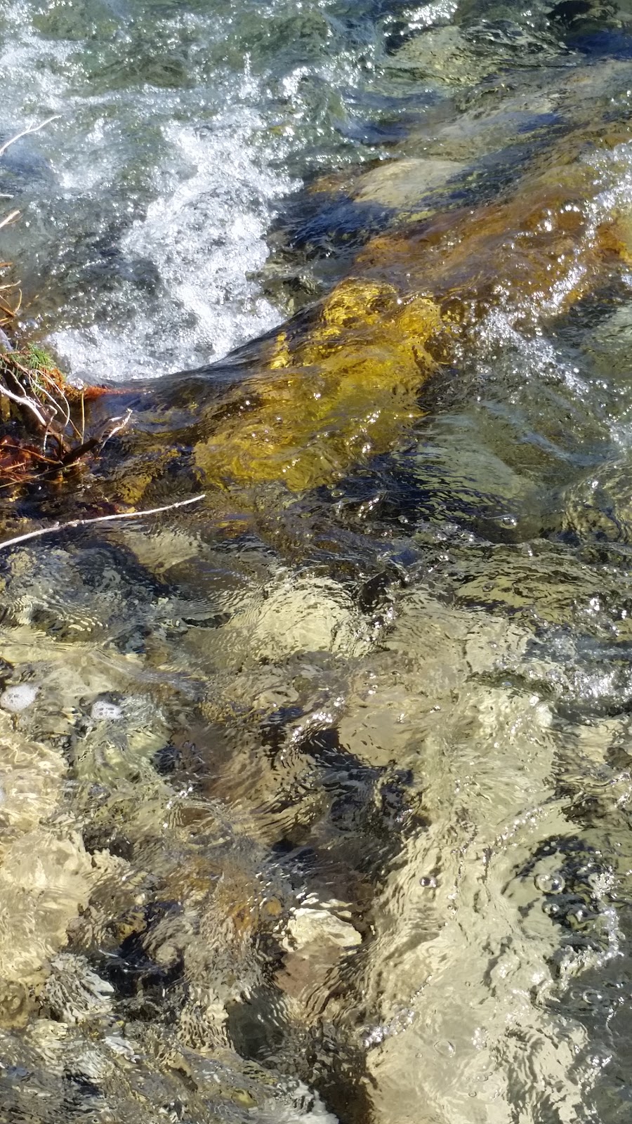 Elbow River Launch - Provincial Recreation Area | Kananaskis, AB T0L 0K0, Canada | Phone: (403) 949-4261